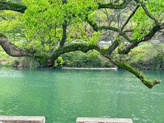 -上坦村