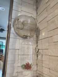 -青青一生美皮肤管理