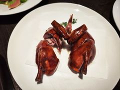 -甄御•海鲜新青岛菜(麦岛店)