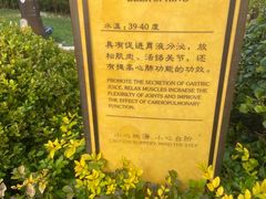 -大连金石滩绿发温泉假日酒店