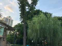 -苏州河梦清园环保主题公园