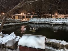 -北京市海淀外国语实验学校