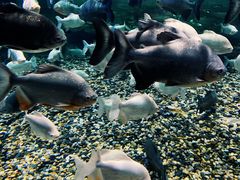 -成都浩海立方海洋公园