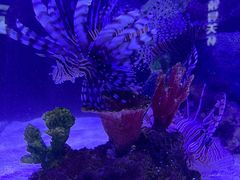 -厦门海底世界
