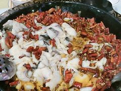 -金三可市井水煮鱼(金碧园店)