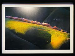 -罗红摄影艺术馆