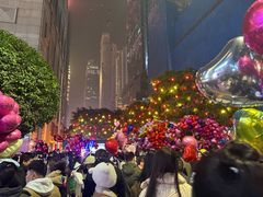 -重庆两江夜游-交运系列