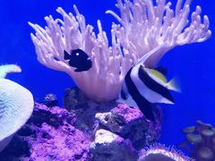 -青岛海底世界-水族馆