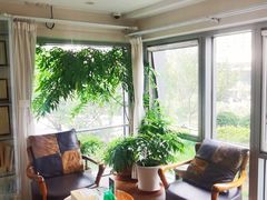 -精德口腔·种植修复·儿牙中心(财富中心店)