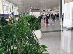 -石家庄正定国际机场-T2航站楼