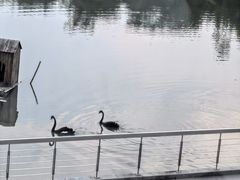 -仙林宾馆-餐厅