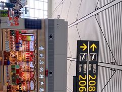 -贵阳龙洞堡国际机场-T2航站楼