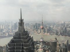 -上海柏悦酒店·世纪100牛排馆