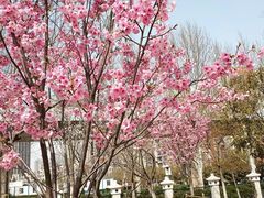 -堤角公园