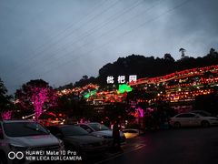 -枇杷园食为鲜火锅(南山店)