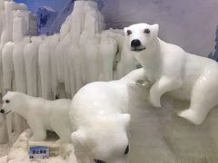 -宁波冰雪大世界(北仑区)