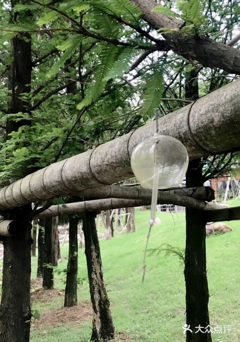 东方艺术博物馆图片