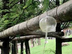 -东方艺术博物馆