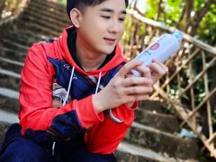 -勐旺傣香园