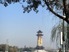 -溱湖国家湿地公园