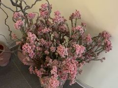 -静耳元気采耳·按摩·SPA(万象前海店)