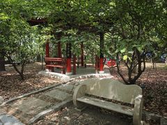 -南汇桃花村