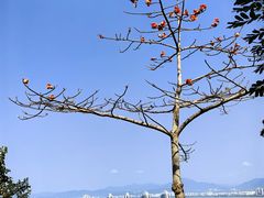 -鹿回头风景区