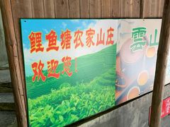 -鲤鱼塘农家山庄