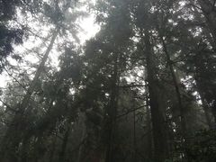 -井冈山风景名胜区-黄洋界