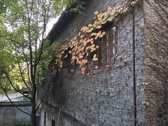 -梅园