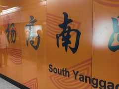 -杨高南路(地铁站)