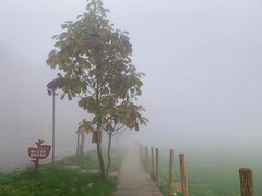 -武陵山森林公园