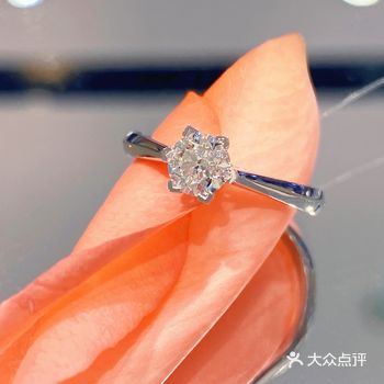  I Do The Moment系列- 雪花