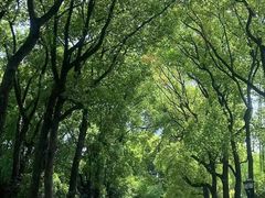 -上海虹桥迎宾馆
