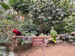 -南宫五洲植物乐园