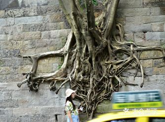 重庆旅游攻略《少年的你》同款最美中山四路