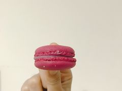 -PAUL LAFAYET 法式甜品(国金中心商场店)