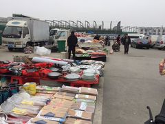 -何庄子阿米玛玛农产品批发市场