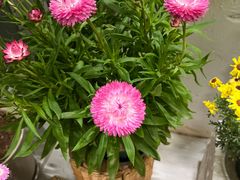 -花十悦·鲜花咖啡餐厅(振业城一期店)