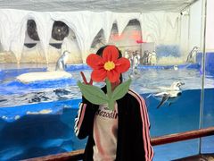 -太平洋海底世界