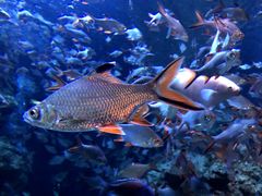 -成都浩海立方海洋公园