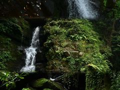-碧峰峡风景区