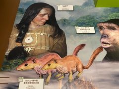 -香港科学馆