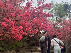 -木兰云雾山