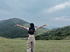 -大姆山草场