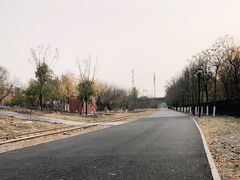 -永定河休闲森林公园