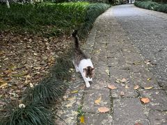 -杭州植物园