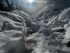 -东天目山风景区