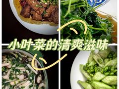 -上海市第十人民医院(总院)