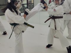 -极真空手道修远道场